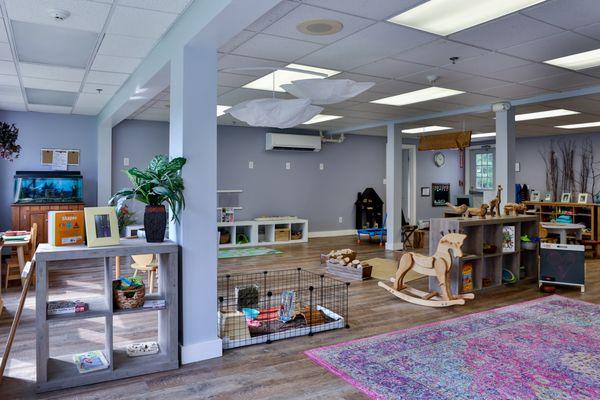 Fitzgerald Community School