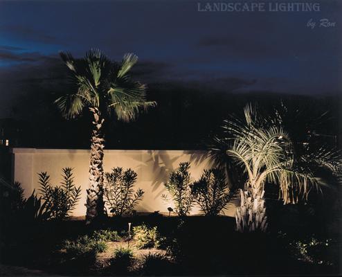 LED Landscape Lighting by Ron