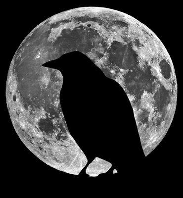 Lunar Raven Technologies