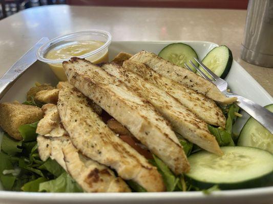 Rockin' Zebra Soda Shoppe