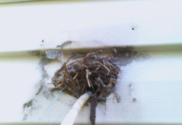 LintFree Dryer Vent Cleaning