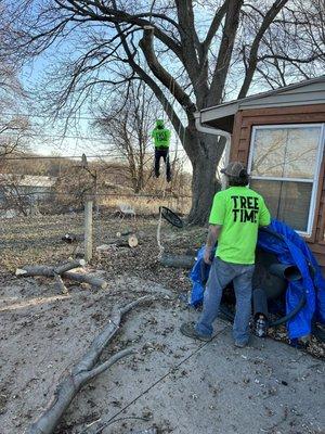 Tree Time Tree Service