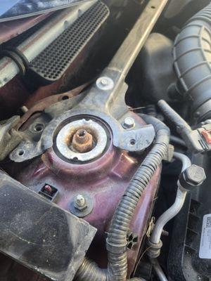 Thibaults One Call Does It All