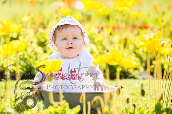 Sara Sandstrom Photography