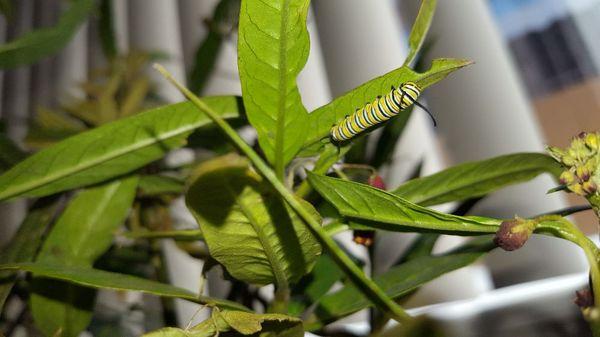 Tender Years Child Care