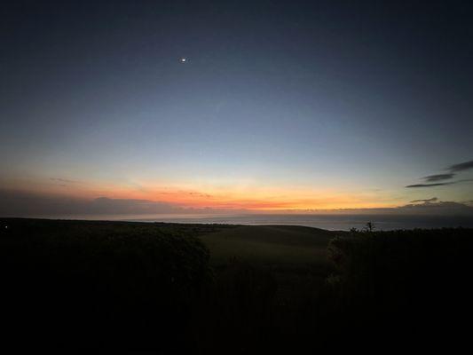 Hawaii Cigar & Ukulele