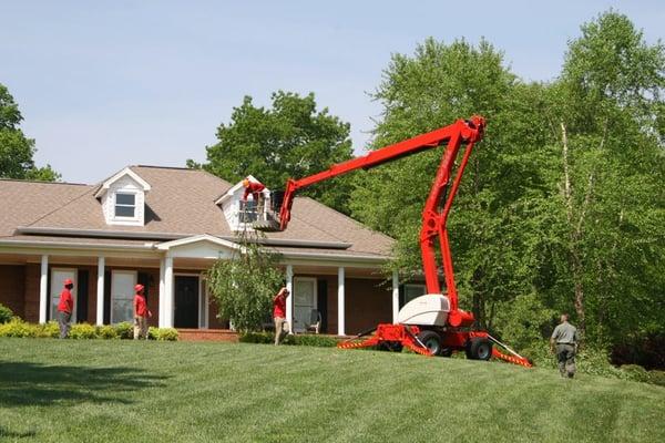 Celtic Tree & Landscape