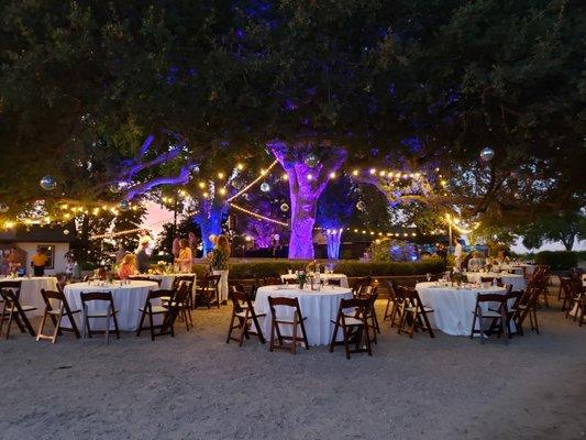 Medina Light Show Designs