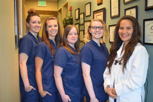 Cadenza Dental Artistry - Holladay