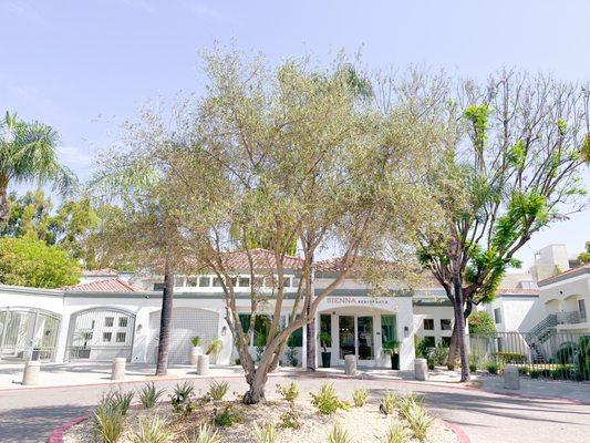 Sienna Residences