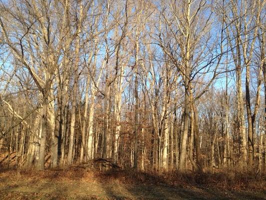 Crosley Fish & Wild Life Area