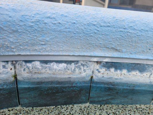 Slicks Pool Tile Cleaning