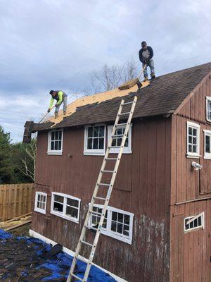 Barn Roof - Before