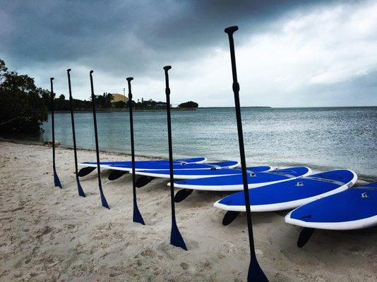 Paddle South Florida