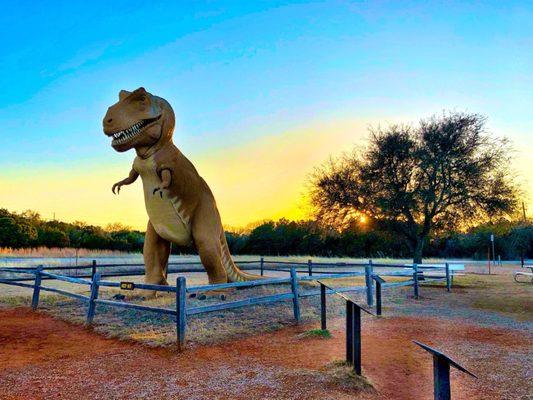 DINOSAUR VALLEY PARK STORE