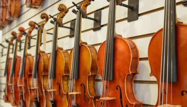 Palmetto Strings