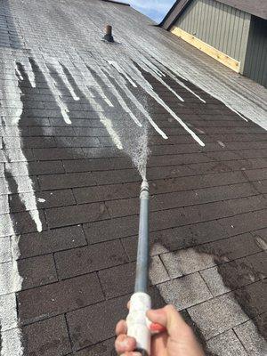 Regional Home Service