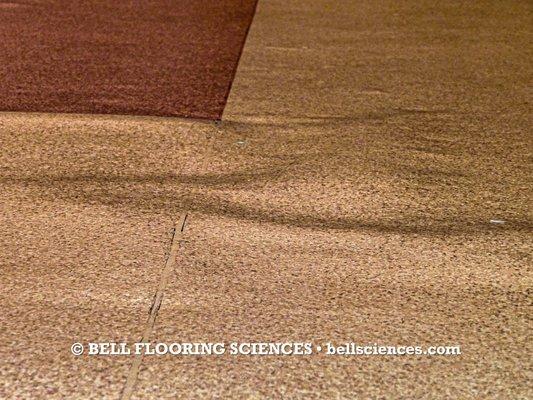 FloorSciences Inspections & Concrete Testing