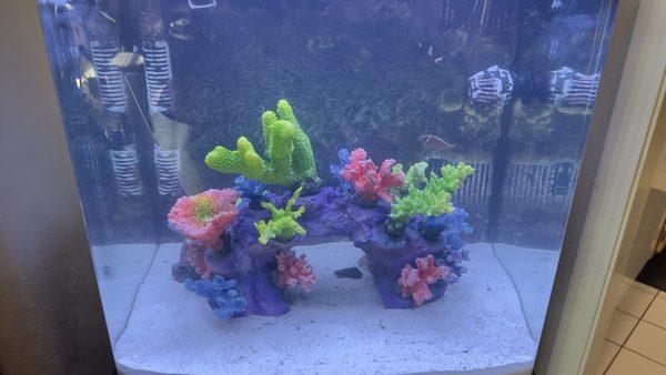 Instant Reef Aquarium Decorations