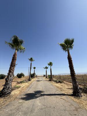 Soto’s Landscaping & Tree Service