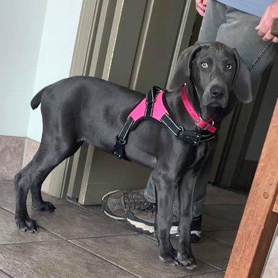 Carlton Animal Clinic