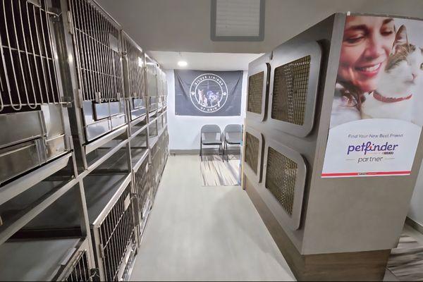 Silver Linings of Ohio