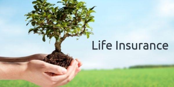 Ortega Business Consulting