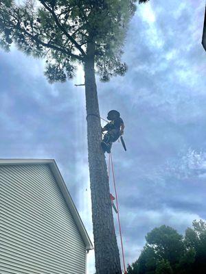 J&N’S Tree Service