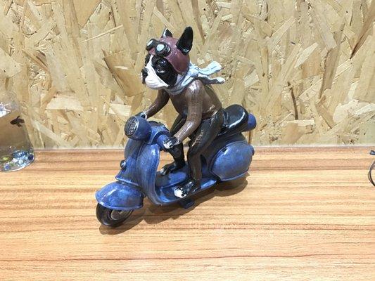 Zoom Scooter