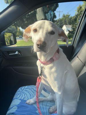 Stony Creek Veterinary Hospital