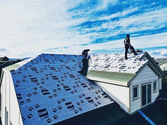 Oh the places you'll see...Thank you GAF for your amazing product.