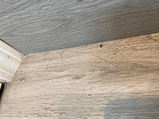 Gross behind bathroom door.