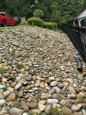 Division Landscaping