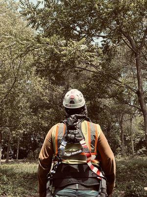 Caro Advance Services