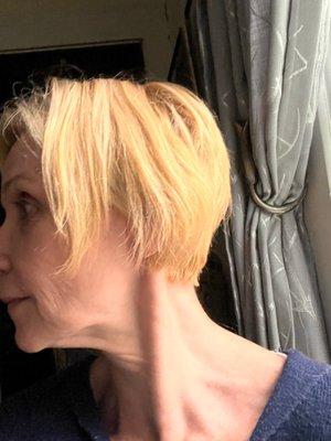 Series of recent cut ,color that's a disaster, what's happening Ludy, Neeve?