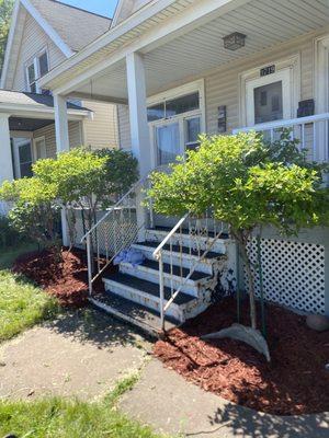 Arborist Landscaping