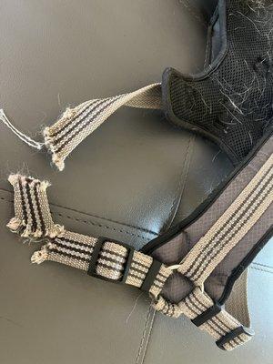 Tender Loving Care Pets Grooming