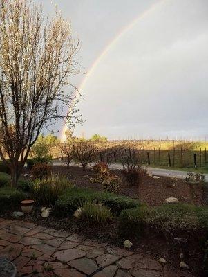 St Eva Hill Vineyard