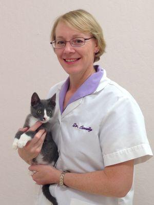 Happy Cats Housecall Vet