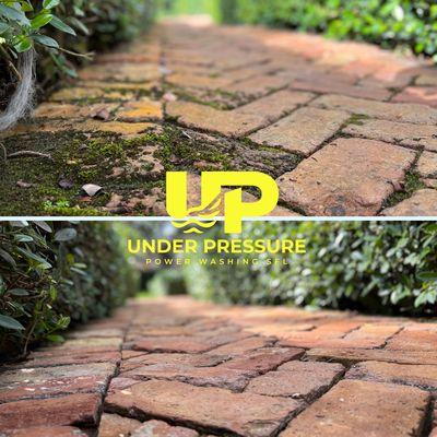 Under Pressure Power Washing SFL