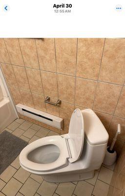 Clean toilet