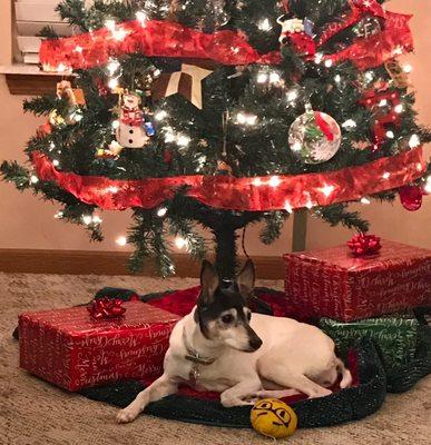 Fenton Olde Towne Veterinary Hospital