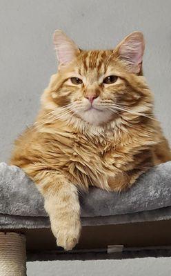 Skalkaho Creek Veterinary Clinic