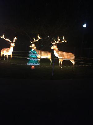 Caution tape around the light displays.