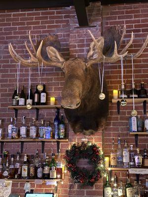 The Bull Moose