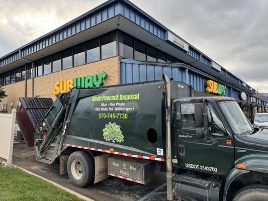 Peacock Kevin Garbage Removal