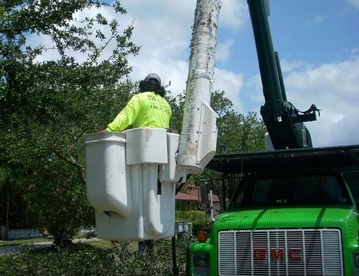 TFS Landscape Services