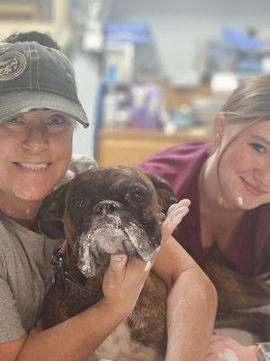 Parsons Pet Hospital