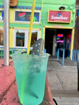The Sandbar