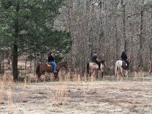 Southern Dreams Ranch